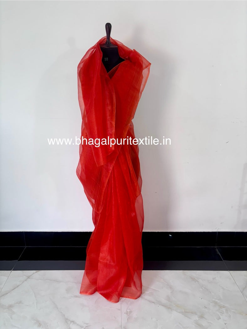 Hawa-e-Noor Organza Saree With Running Blouse 1 m (Search code-1078)