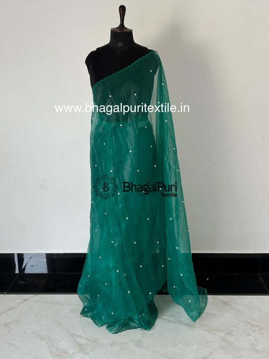 Handcrafted Blue Stone Organza Saree with Pearl Detailing & Designer Cutwork Border (Search Code-10165)