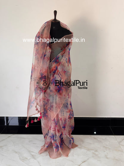 Sheer organza saree with digital floral print