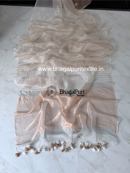 Sunehri Noor Ivory Silver&Gold Stripes Organza Tissue Saree (Search Code-10189).