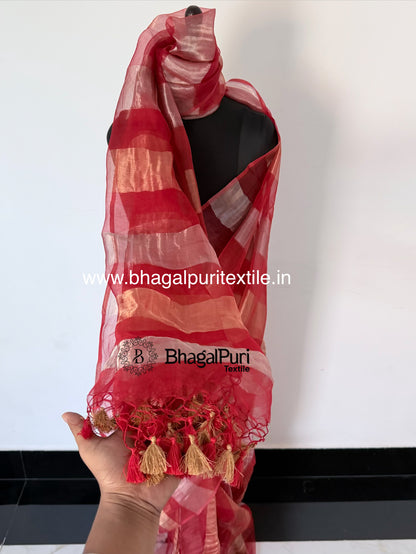 Noor-e-Ruby Organza Tissue Stipes Saree (Search Code-10193).